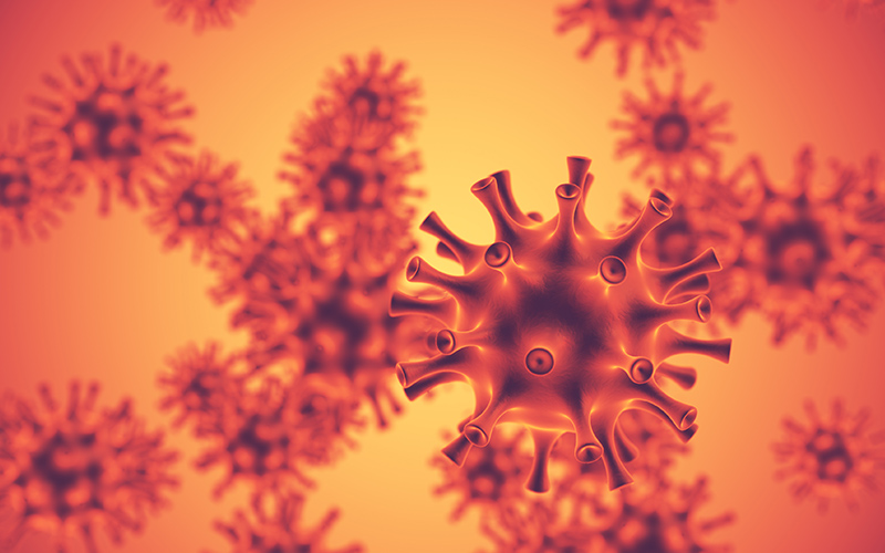 Unraveling the World of Viruses: Enveloped vs. Non-Enveloped