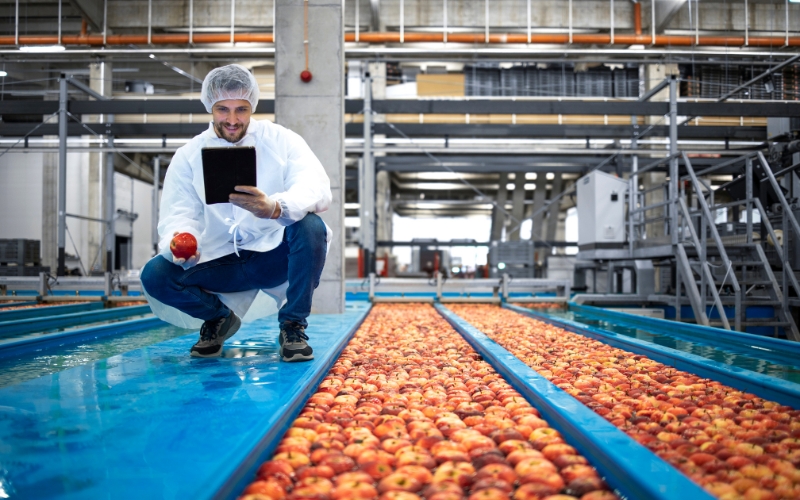 Addressing Foodborne Illness Risks in Food Processing