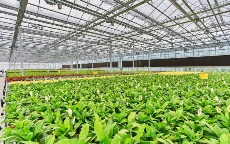 A look at crops at an indoor agriculture facility looking to reduce chemical dependence.