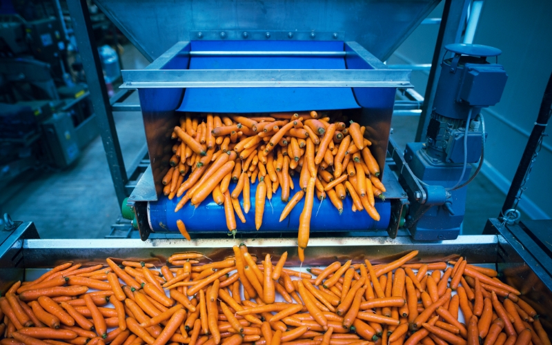Foods like carrots are causing increases in foodborne illnesses.