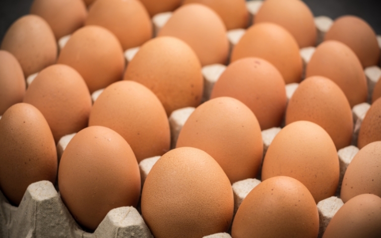 2025 Salmonella Egg Recall: What Happened and How Facilities Can Stay Ahead