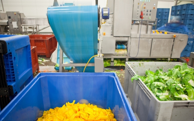 Surge in Foodborne Illnesses Highlights Need for Enhanced Safety Measures