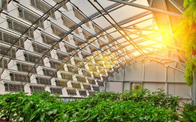 Why Premium Herbs Demand Premium Indoor Air Quality