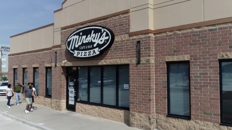 Minsky’s Solution for a Clean and Safe Environment