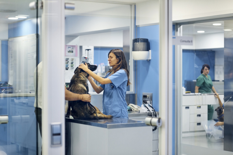 Synexis, LLC and Midwest Veterinary Supply Collaborate to offer DHP® Technology to Animal Health Professionals Nationwide