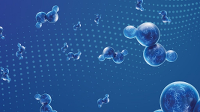 Beyond Sanitation: Understanding the Hidden Systems That Allow Pathogens to Persist