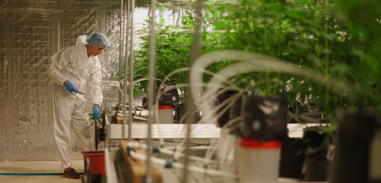 100x VOC Reduction. 3 Months of No Observed Disease Outbreaks. Inside One Indoor Grow Facility’s Results