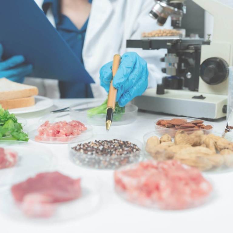 Continuous Pathogen Control: Enhancing Sanitation and Environmental Monitoring in Food Processing